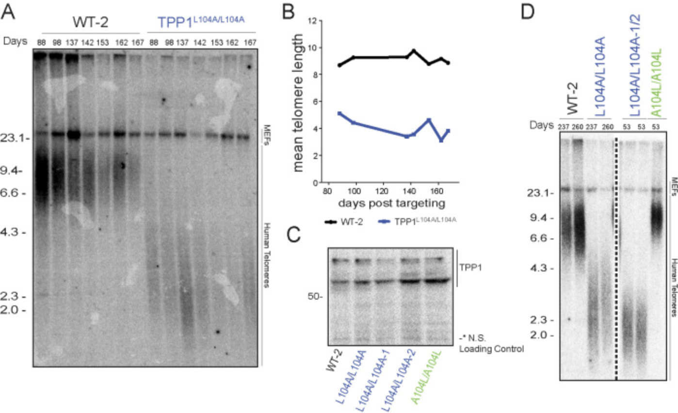 Recent Publication