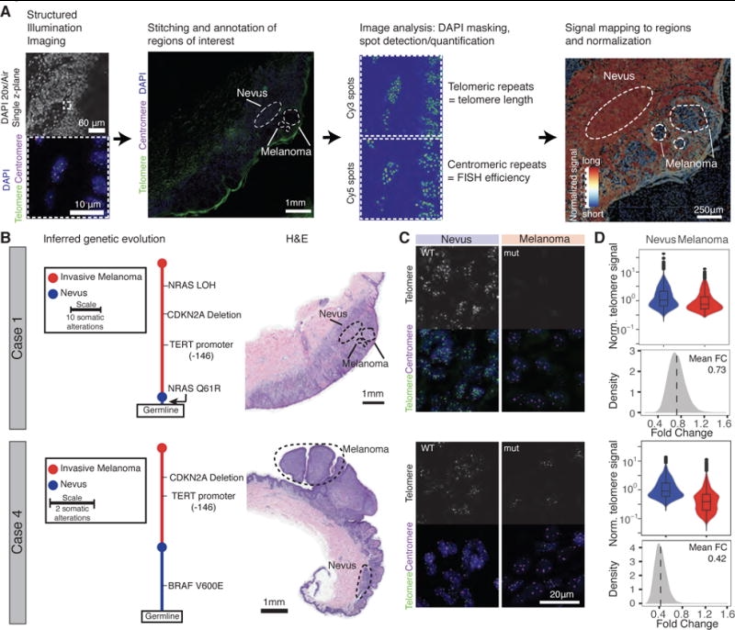 Recent Publication