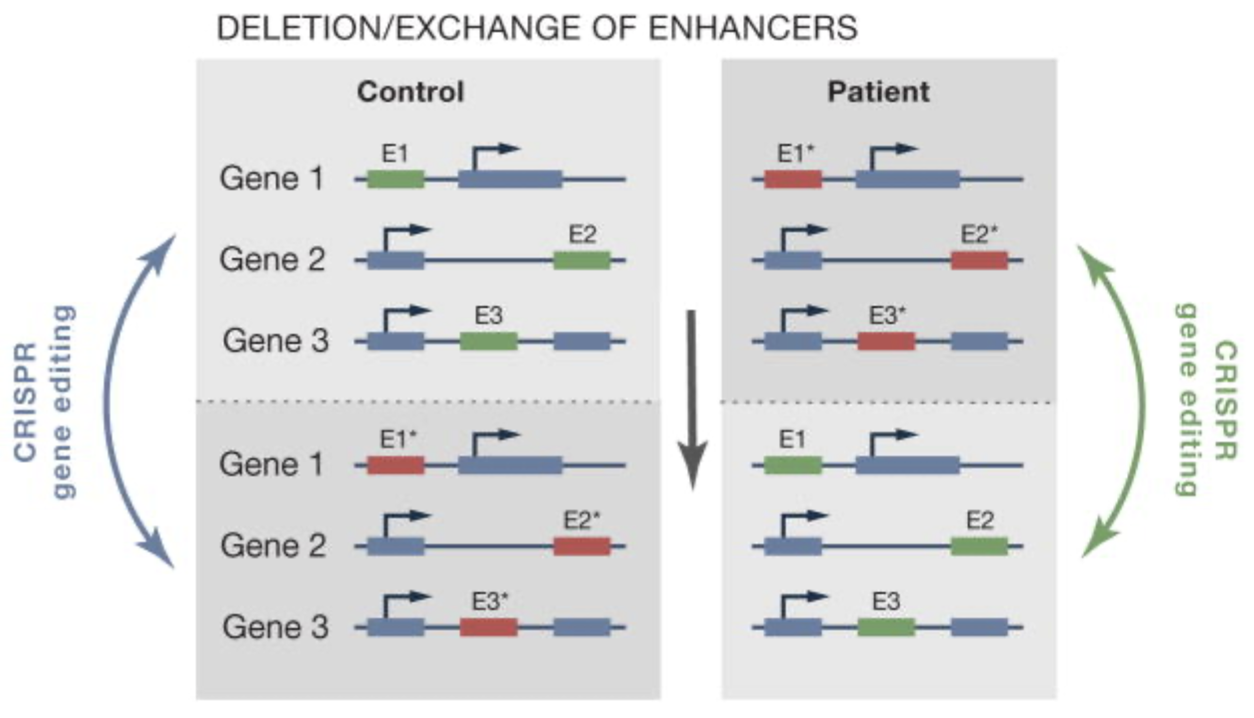 Recent Publication