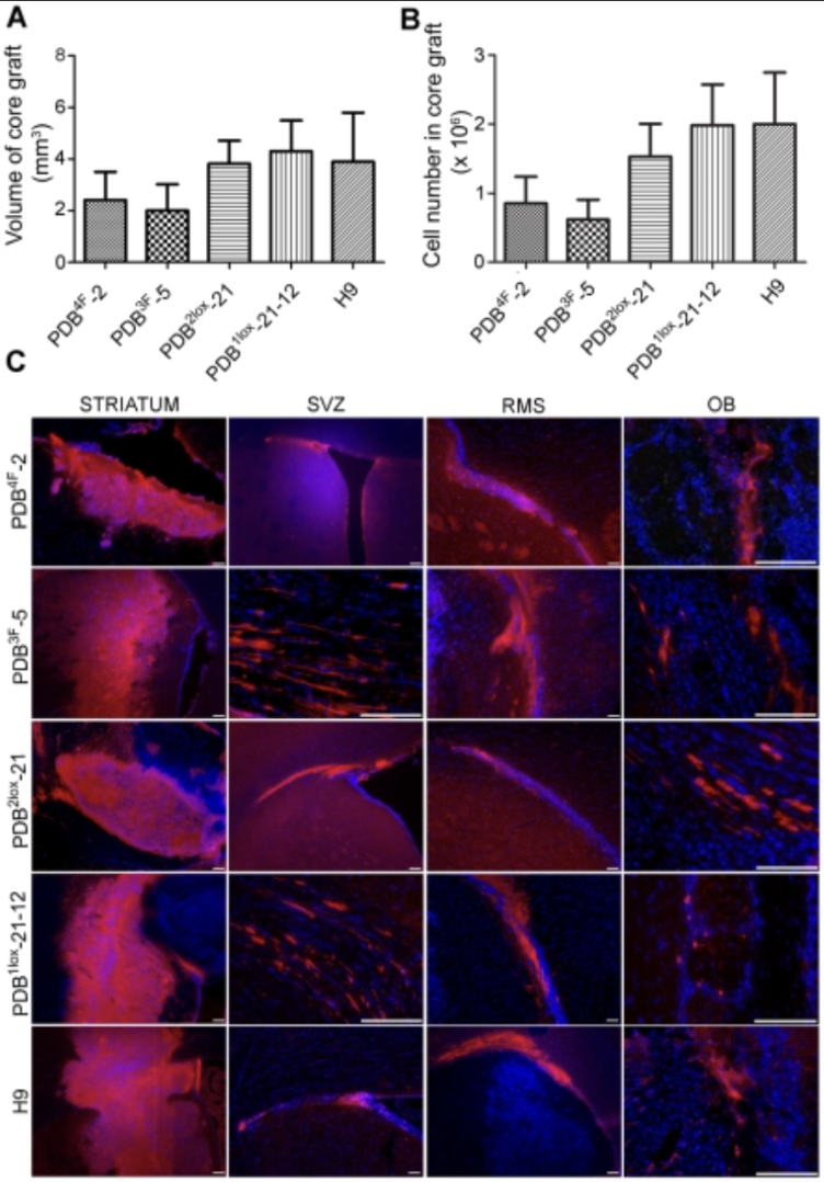 Recent Publication