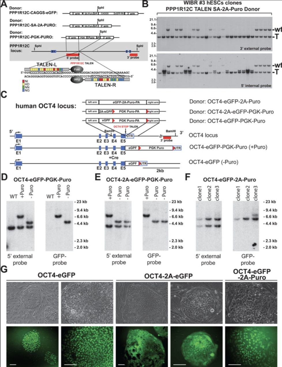 Recent Publication