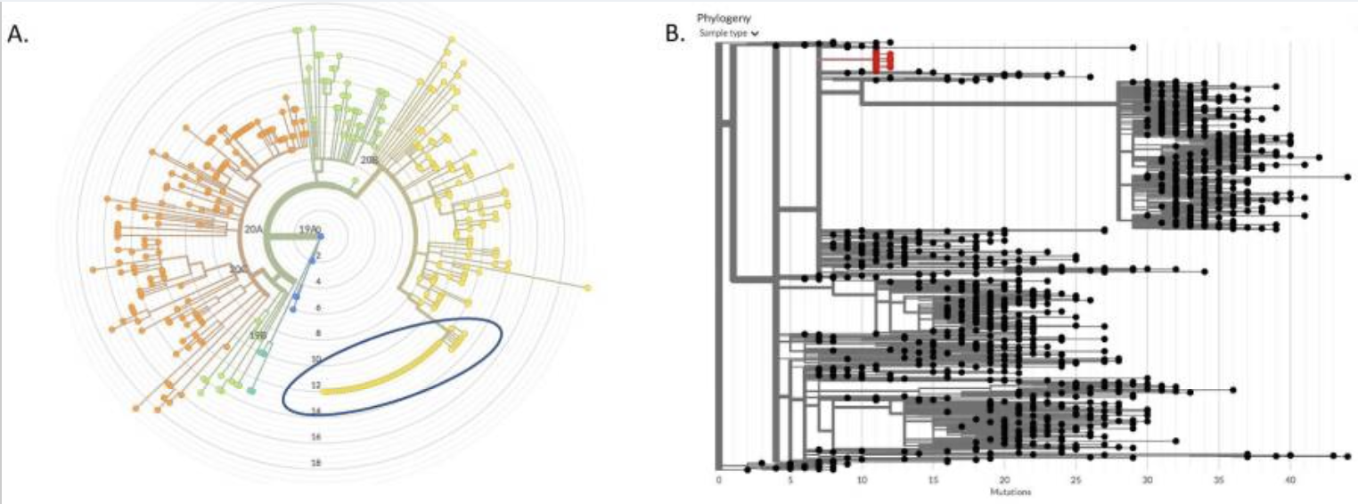 Recent Publication